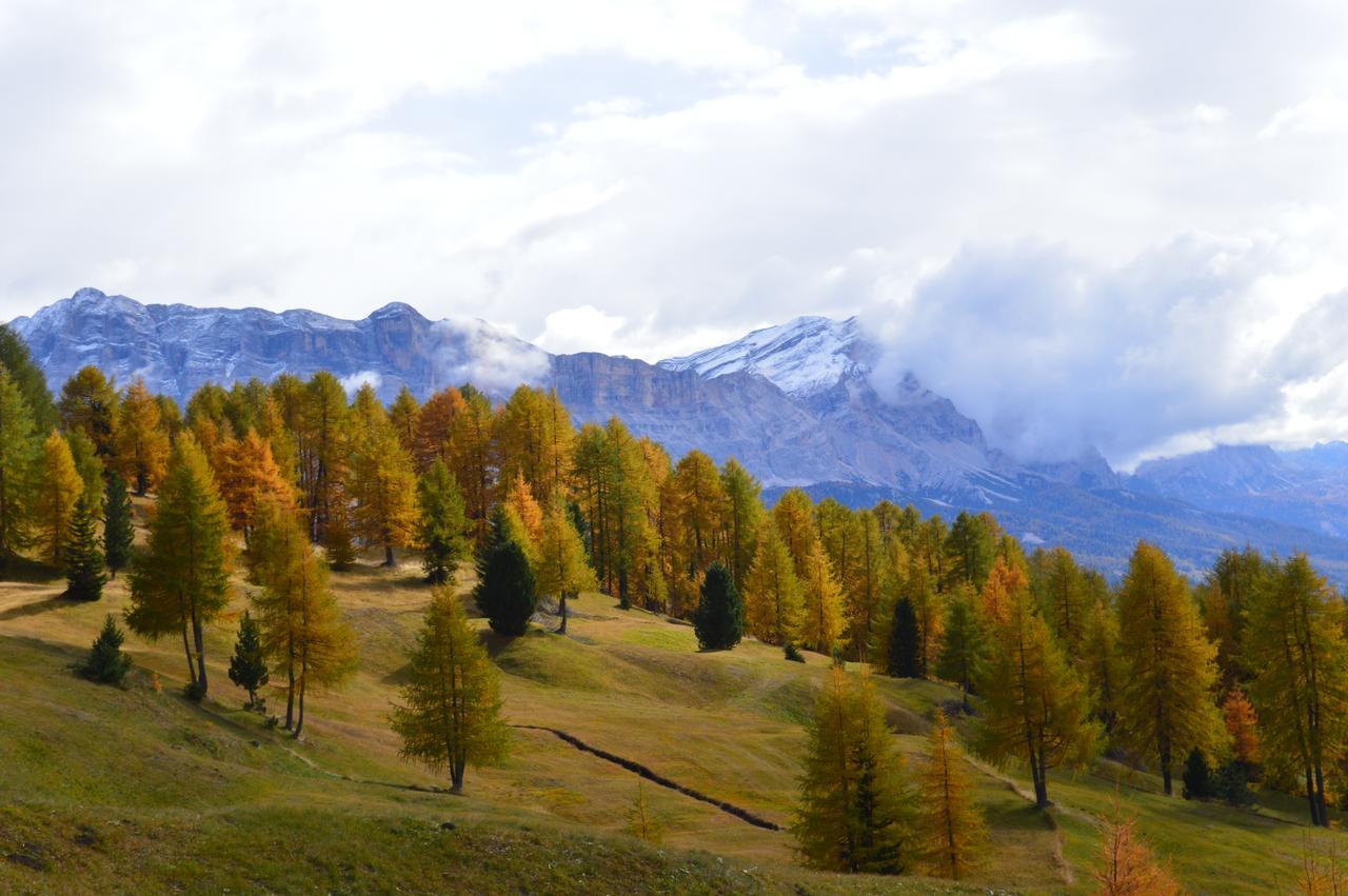 Апартаменты Agriturismo Anvi Бадия Экстерьер фото